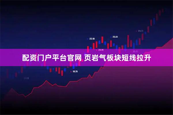 配资门户平台官网 页岩气板块短线拉升
